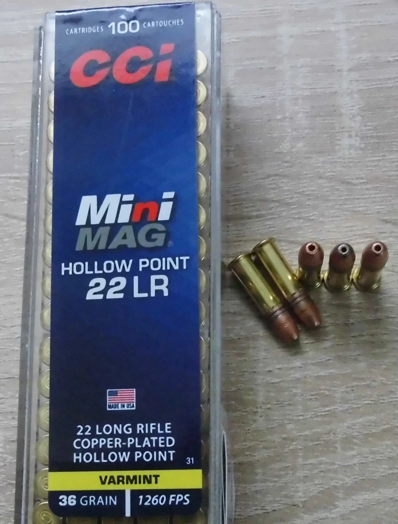 CCI 22 LR mini MAG