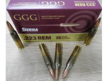GGG 223rem HPBT SMK 77 gr Match